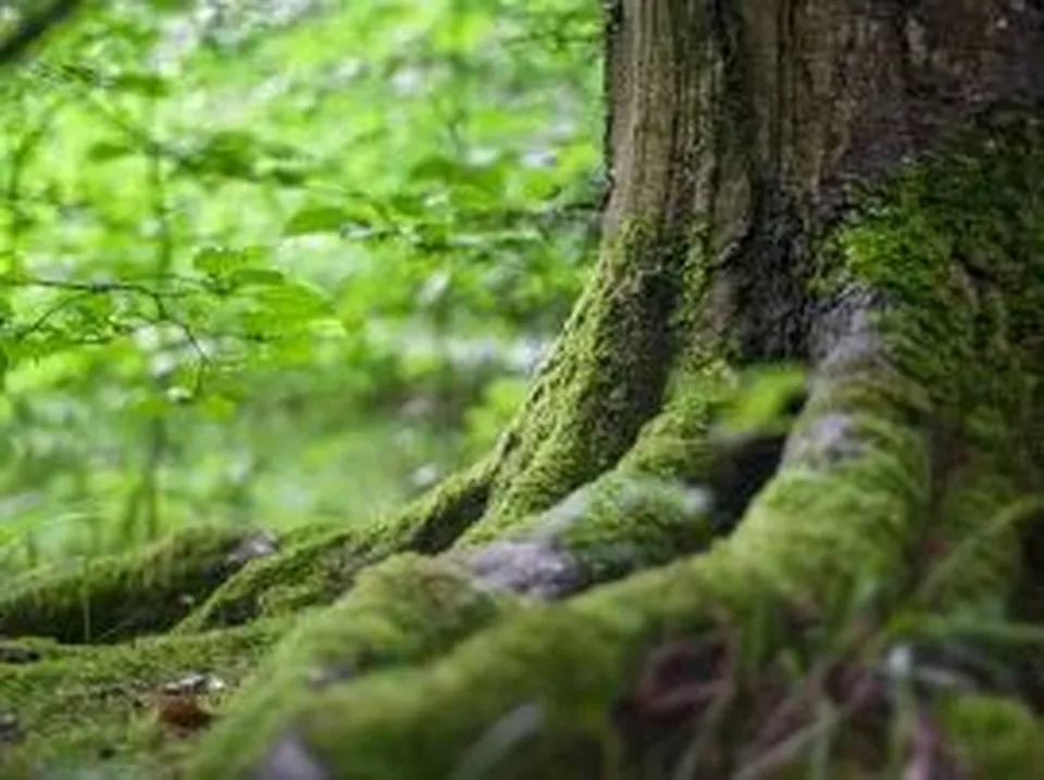 Ny satsning tar hänsyn till klimatet!